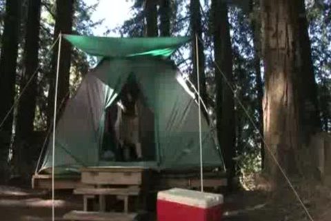 Casey Monroe & Parker London