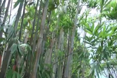 SuckMyCockSwallowMy - Scene 7 - Factory clip