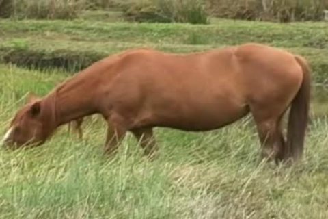 homosexual lovers get Down Out In The Ranch outdoors