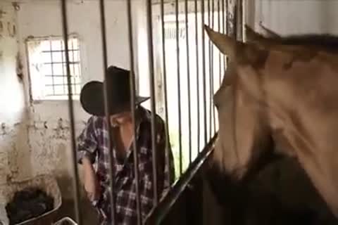 lewd boyz poke In The Farm