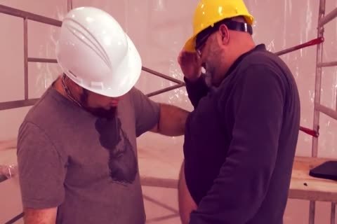 Construction Worker Bears