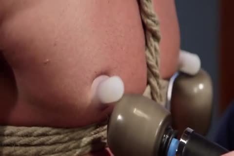 enchanting fastened Down Lad