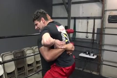 Wolf Vs steel