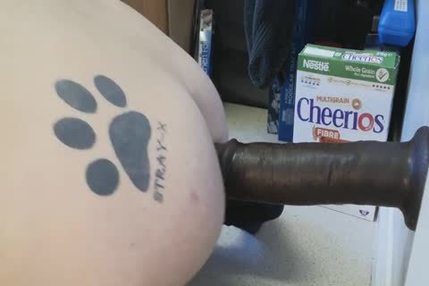 David Anderson Manchester Sunday pleasure Day Gaping