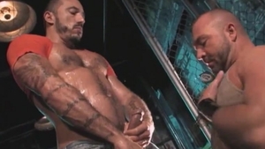 Mature rushes rough fucking