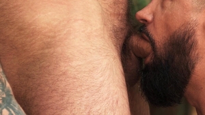 Men: The Bearded Bond They Can't Resist