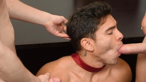 Men: The Science of Seeding