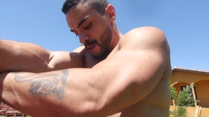 Celebration Central!