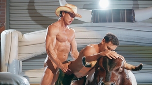 Men: Suds, Sex & Mechanical Fun