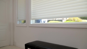 Next Door Buddies: Peeping into Private Paradise